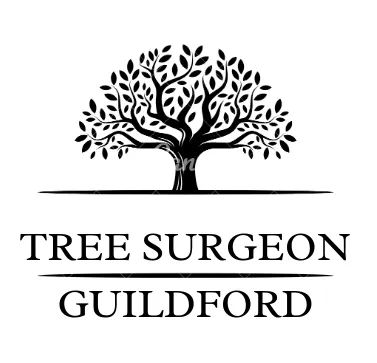 tree surgeon guildford