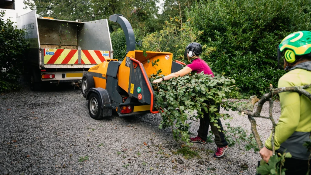 tree surgeon guildford